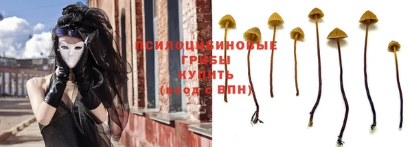 сатива Армянск