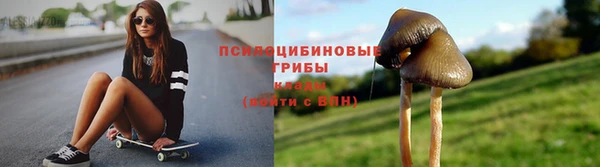 2c-b Арсеньев