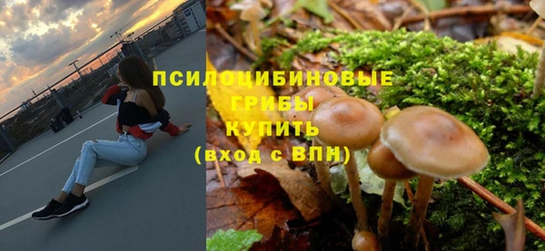 СК Аркадак