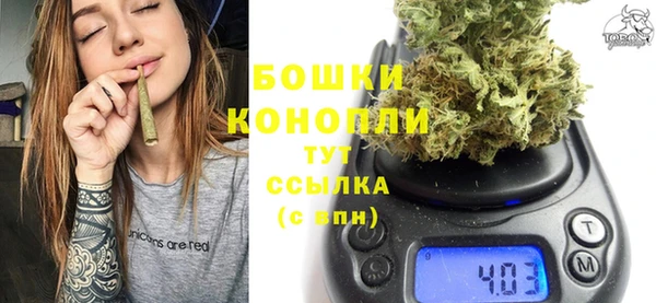 сатива Армянск