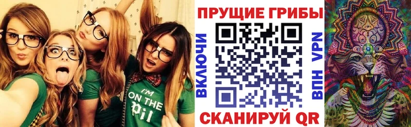 Псилоцибиновые грибы GOLDEN TEACHER Бахчисарай